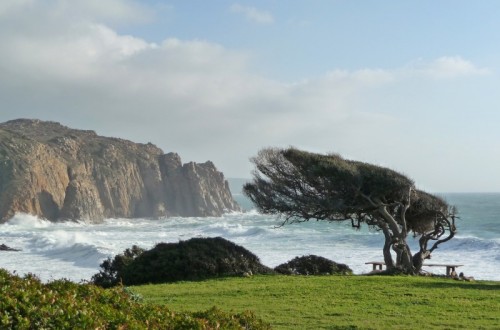 Il maestrale regala un po’ di sollievo alla Sardegna dopo tanta afa: temperature sui 27°