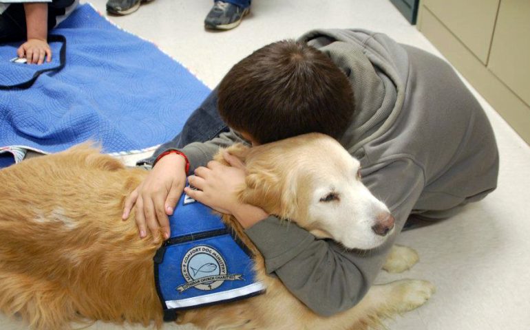 Arriva la Pet Therapy in tutti gli ospedali della Sardegna: l’iniziativa della Regione è una realtà