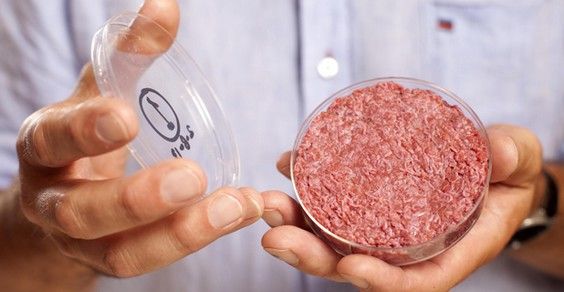 Produrre hamburger senza uccidere gli animali: ci prova una start up americana, con l’aiuto di Bill Gates