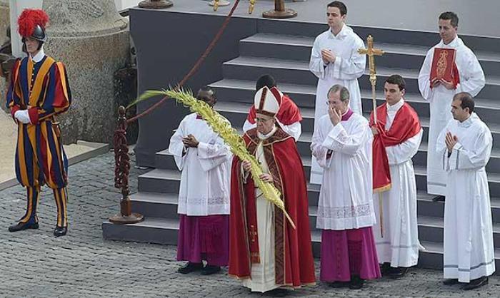 Domenica delle Palme: i ramoscelli d’olivo a Piazza San Pietro saranno tutti sardi