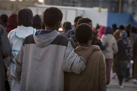 Piccoli migranti