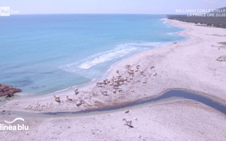 Lineablu in Sardegna mostra le bellezze della costa orientale: il mare, i suoi fondali, il Supramonte, i fiumi e le fonti di acqua dolce