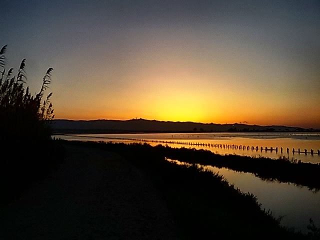 La foto del giorno. Il bello di vivere a Cagliari e alzarsi presto…l’incanto delle Saline all’alba