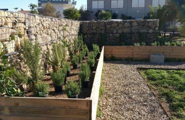 Il giardino botanico della scuola di Assemini