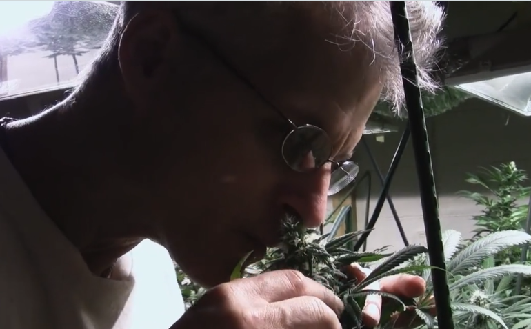 “Relegalized”, il documentario di un regista sardo sulla cannabis che sarà proiettato in Senato (VIDEO)