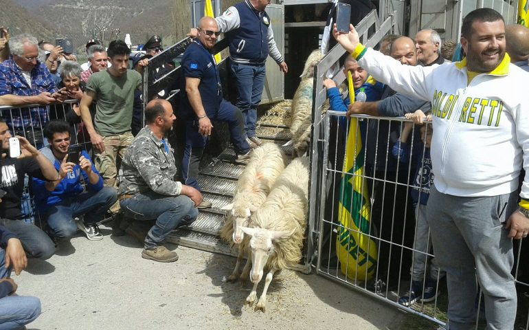 Il sindaco di Cascia accoglie la delegazione sarda che porta in dono mille pecore sarde ai pastori umbri