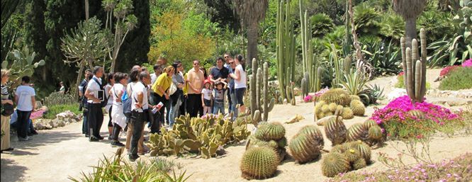L’Orto Botanico di Cagliari rinasce dopo i danni provocati dallo scirocco a gennaio: diverse novità nel giardino più bello della città