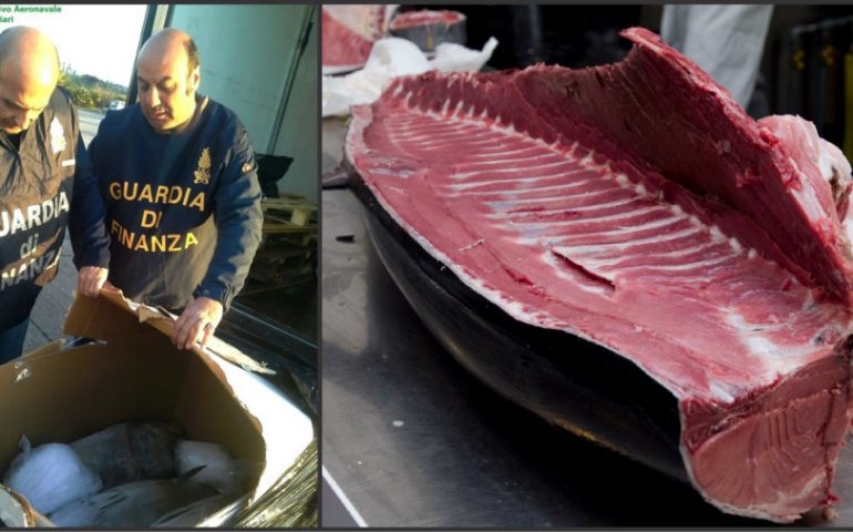 Cagliari, la Guardia di Finanza sequestra 250 chili di tonno rosso privo del certificato di provenienza