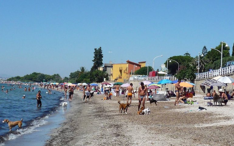 Riapre la Bau Beach. Per tutta l’estate un’area apposita a disposizione degli animali