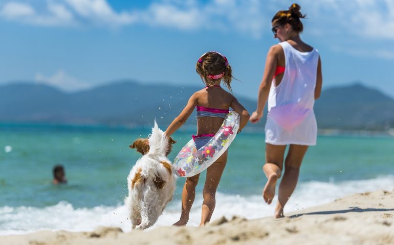 Anche la Sardegna ha il suo campeggio pet friendly: un luogo dove i cani sono considerati ospiti e membri della famiglia