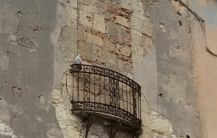 Indovina il dettaglio. Quali misteri si celano dietro questa finestra murata? Dove si trova?