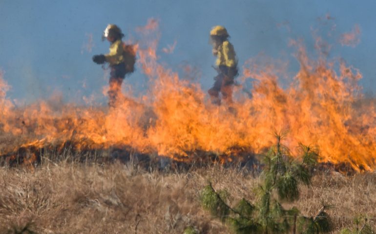 Le fiamme divorano la Sardegna: turisti in fuga per un incendio a Santa Teresa e un allevatore ustionato a Torpè