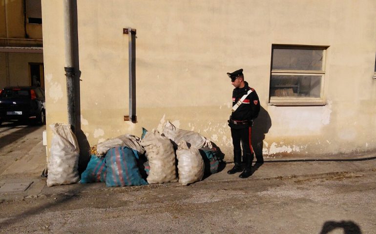 Ladri di patate in azione: con l’auto carica del bottino tentano la fuga ma vengono arrestati