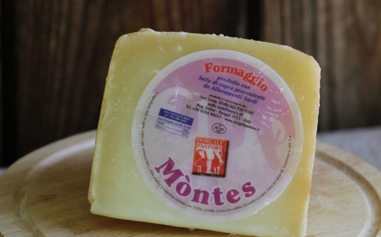 Caprino, eccellenza del made in Sardegna. Scopri i migliori formaggi sardi fatti con latte di capra