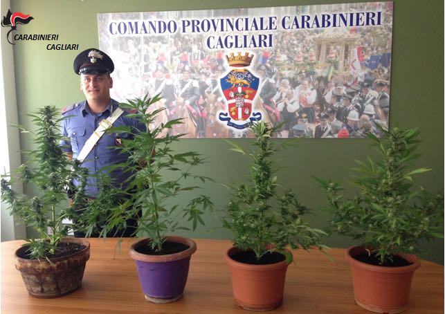 Coltivava marijuana nel balcone di casa in centro a Cagliari: denunciato impiegato di 35 anni