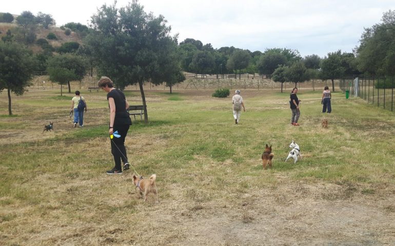 Parco di Monteclaro: inaugurata questa mattina un’area apposita per gli amici a quattro zampe