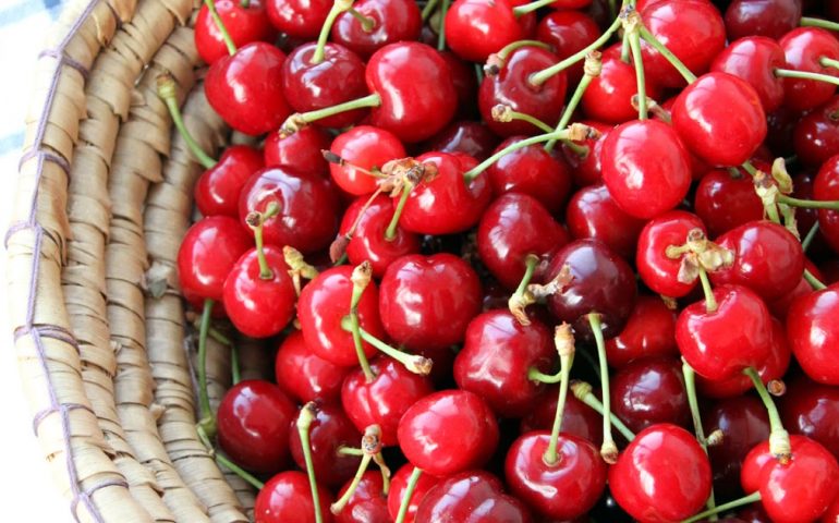 Lo sapevate? In Sardegna ci sono ben 25 varietà di ciliegie. Ecco un’idea per come gustarle: le ciliegie sotto spirito (ricetta)
