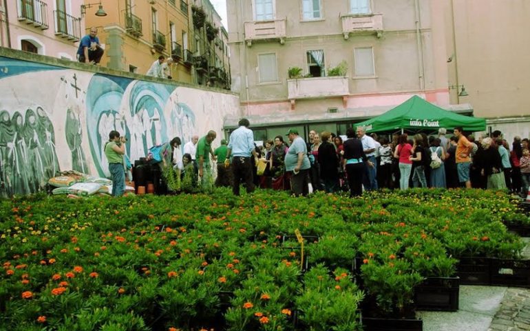 “Mettete dei fiori nei vostri balconi”, sesta edizione: 3500 piante regalate ai cagliaritani