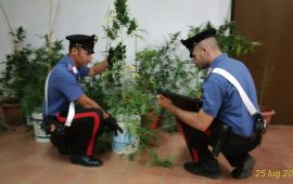 San Basilio serra marijuana cannabis carabinieri