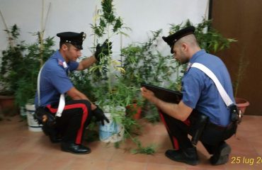 San Basilio serra marijuana cannabis carabinieri