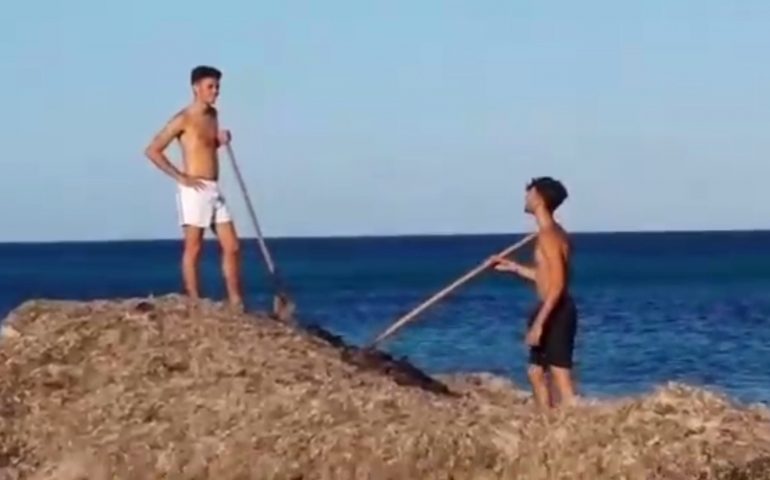La spiaggia di Santa Margherita è strapiena di posidonia? La puliscono i bagnanti e residenti