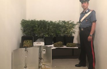 carabinieri, cannabis sequestrata pirri