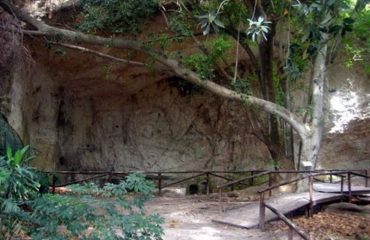 librerie verdi orto botanico Cagliari