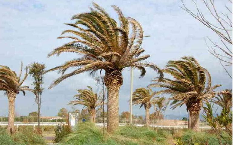 Raffiche di maestrale violentissime: a Capo Carbonara registrato il vento a 126 km orari