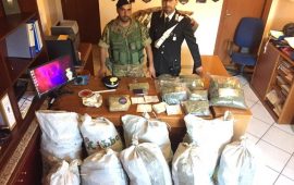 Carabinieri Tonara sequestrano droga a Desulo