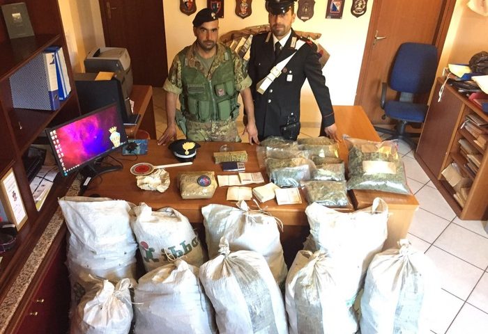 Carabinieri Tonara sequestrano droga a Desulo