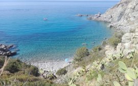 Cala Delfino 1 (Foto di Mario Marcis)