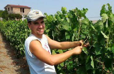 Vinu. Luigi Giuntelli, 28 anni e due passioni: il vino e la terra. Alla scoperta di “Nuovi Poderi”, tra Cannonau barricato e Barbera Sardo