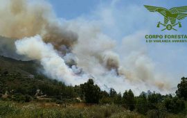 Incendio Arbus Gonnosfanadiga