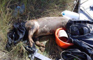 Selargius, discarica abusiva Sa Muxiurida (luglio 2017)
