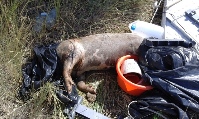 Selargius, discarica abusiva Sa Muxiurida (luglio 2017)