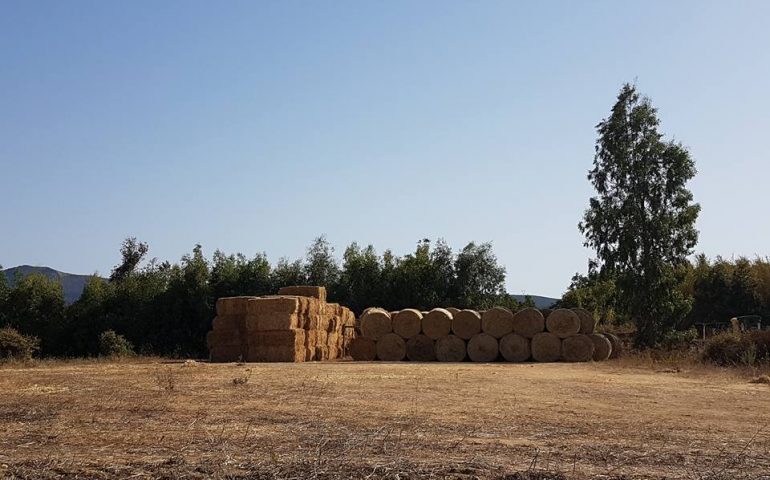 Incendi e distruzione nelle aziende agricole: arriva da Serrenti un altro camion di fieno per gli allevatori di Arbus