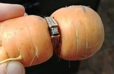 anello nella carota