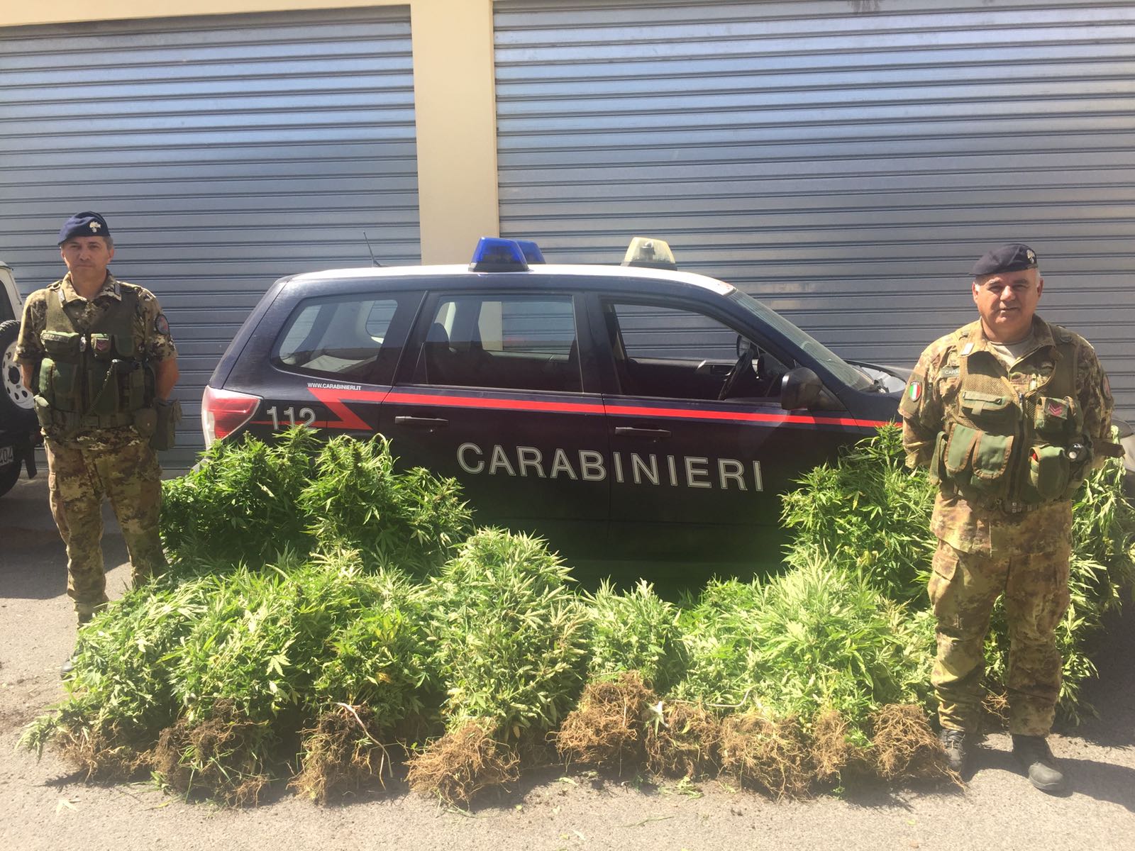 arresto marijuana orune carabinieri