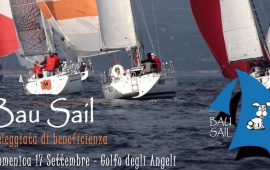 bau sail