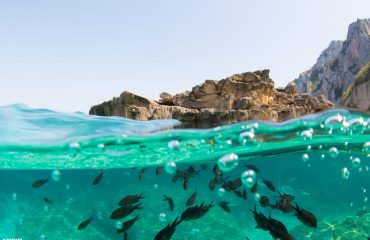 cala gonone sardegna