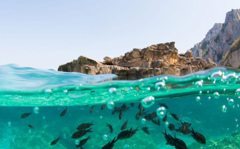 cala gonone sardegna