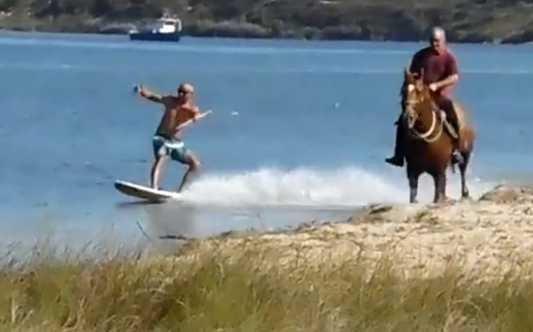 horse surfing matzaccara sardegna