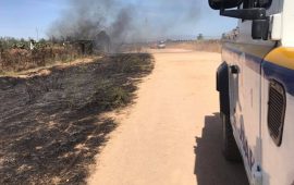 grusap incendio capoterra