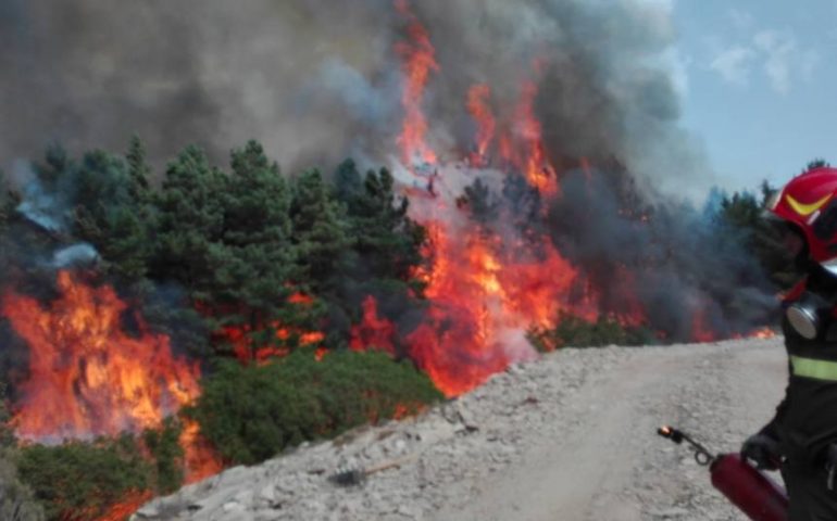Cagliari, allerta incendi: anche oggi bollino arancione per alto pericolo