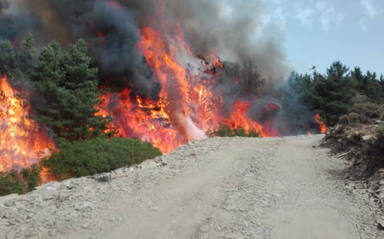 Le immagini dell’incendio della pineta di Seui, bruciata ieri nell’ennesima giornata di fuoco in Sardegna