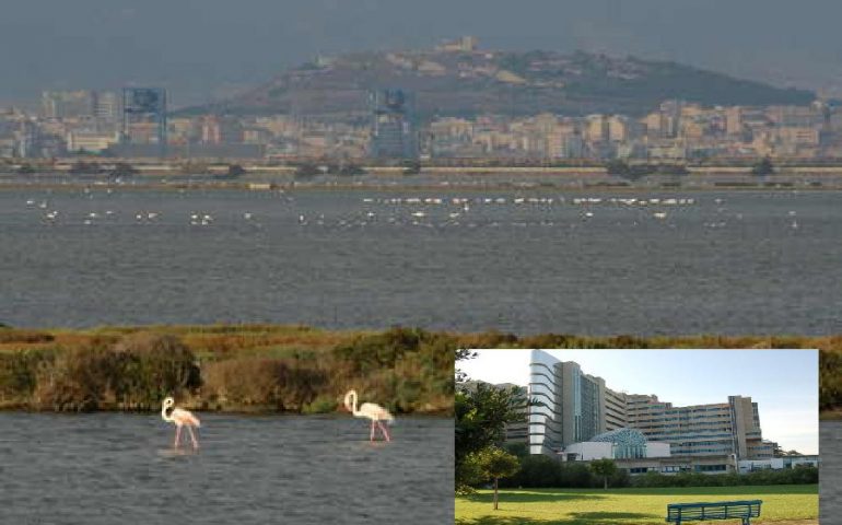 Incidente nella laguna di Santa Gilla. Denunciato per lesioni gravissime il pescatore