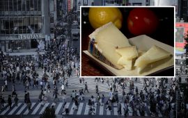 Formaggio sardo in giappone