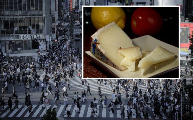 Formaggio sardo in giappone