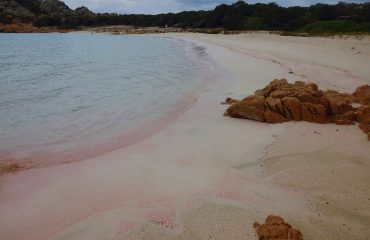 La Spiaggia Rosa di Budelli ritorna rosa -Foto di Mauro Morandi 5