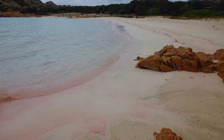 La Spiaggia Rosa di Budelli ritorna rosa -Foto di Mauro Morandi 5